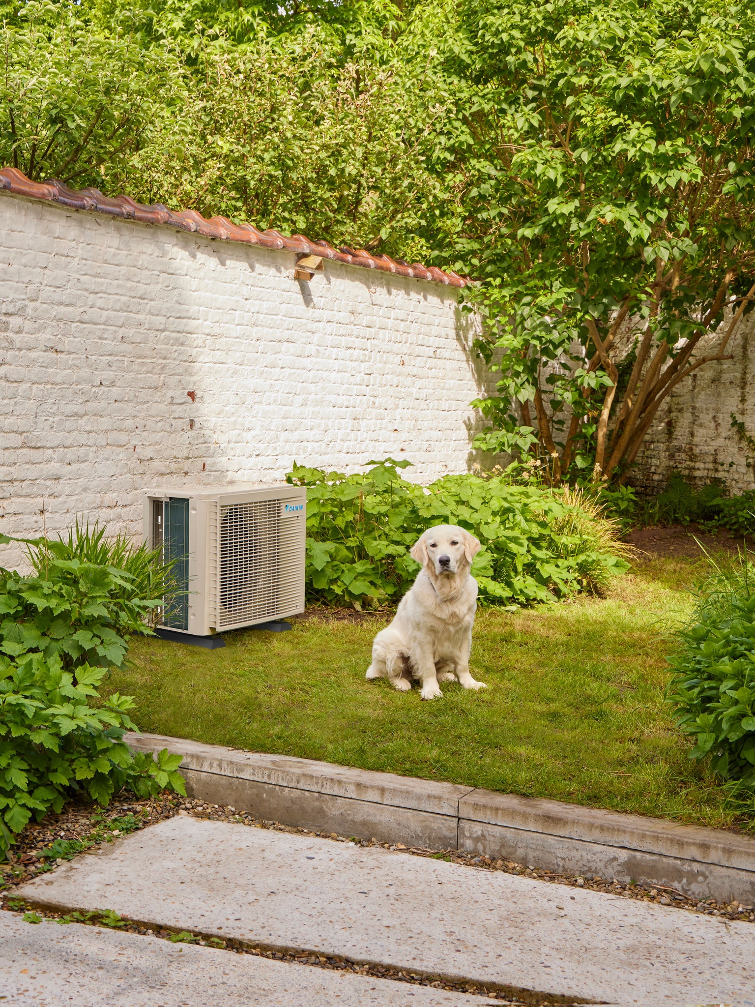 Hond in tuin naast Multi Split-buitenunit