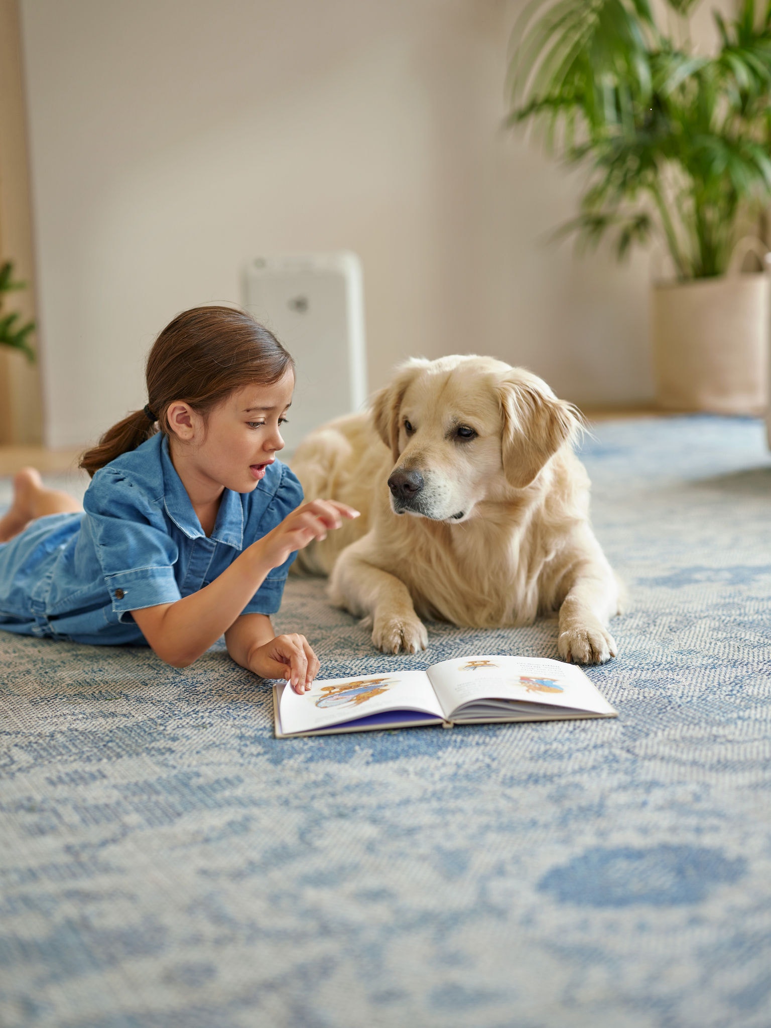 L'enfant et l'animal de compagnie profitent d'un air pur sans poils, squames ni odeurs.